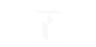 Logo FibraTech